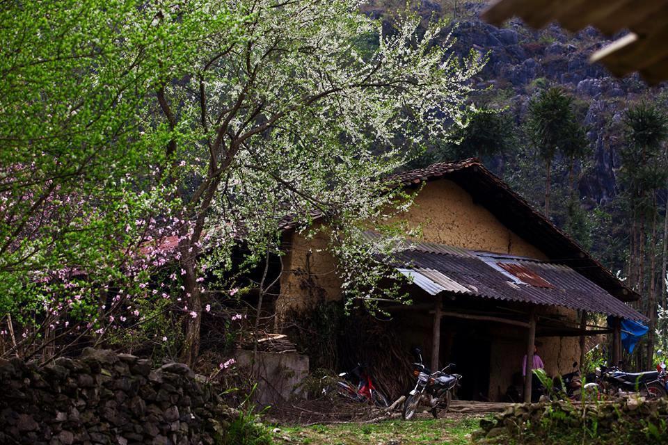 Tam Giac Mach Hotel Ha Giang Exteriér fotografie